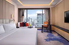 Chambre Supérieure Vue Ville