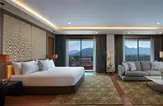 Suite Exécutive Une Chambre Vue Rivière avec Balcon